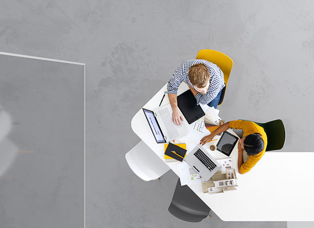 Co-workers at desk working